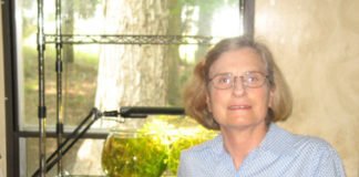 L’acquario naturale secondo Diana Walstad