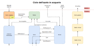 Ciclo dell’azoto in acquario: l’ennesimo articolo Ciclo dell'azoto in acquario.
