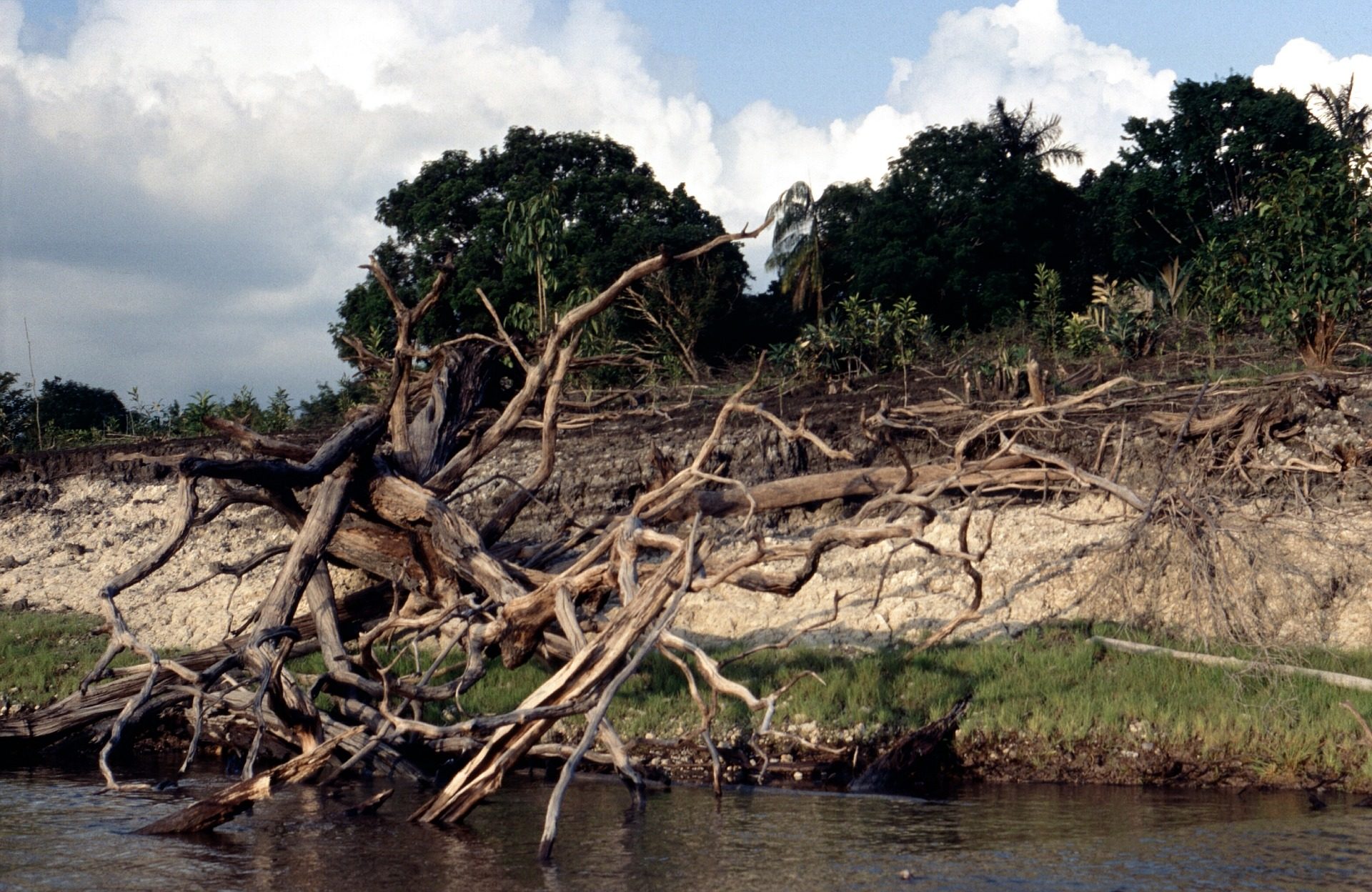 Amazon-river Amazon-river